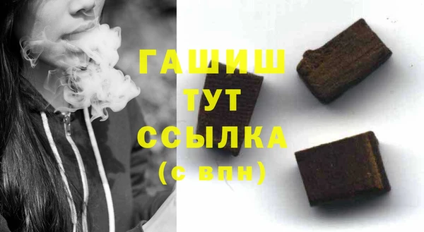 гашик Алексин