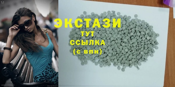гашик Алексин